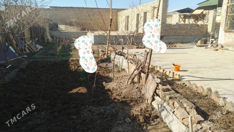 ayrapord daca - Türkmenabat - img 1