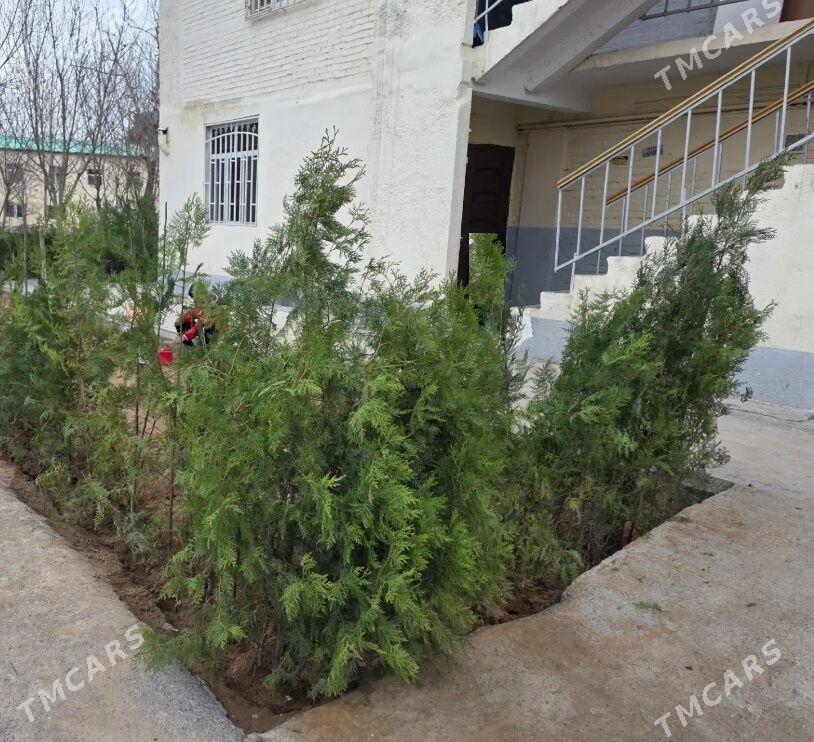 3289-4MKR 2-KOMNAT 3/1-ETAJY+OGOROD - 4 mkr - img 1