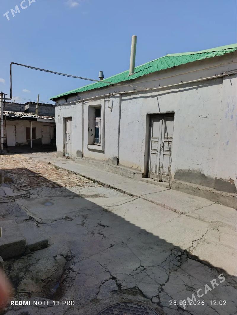 Hitrofka grbayet - Aşgabat - img 1