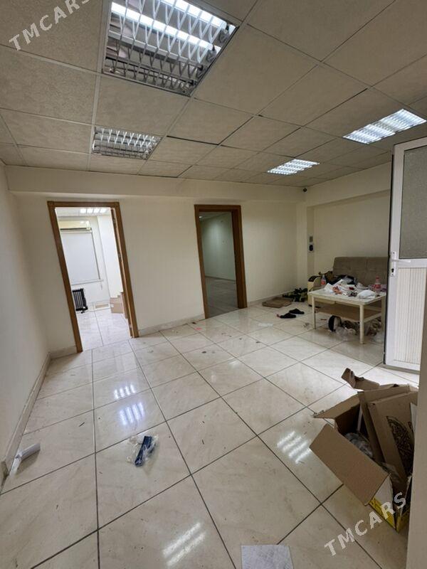 arenda mir6 podwal - Мир 6 - img 1