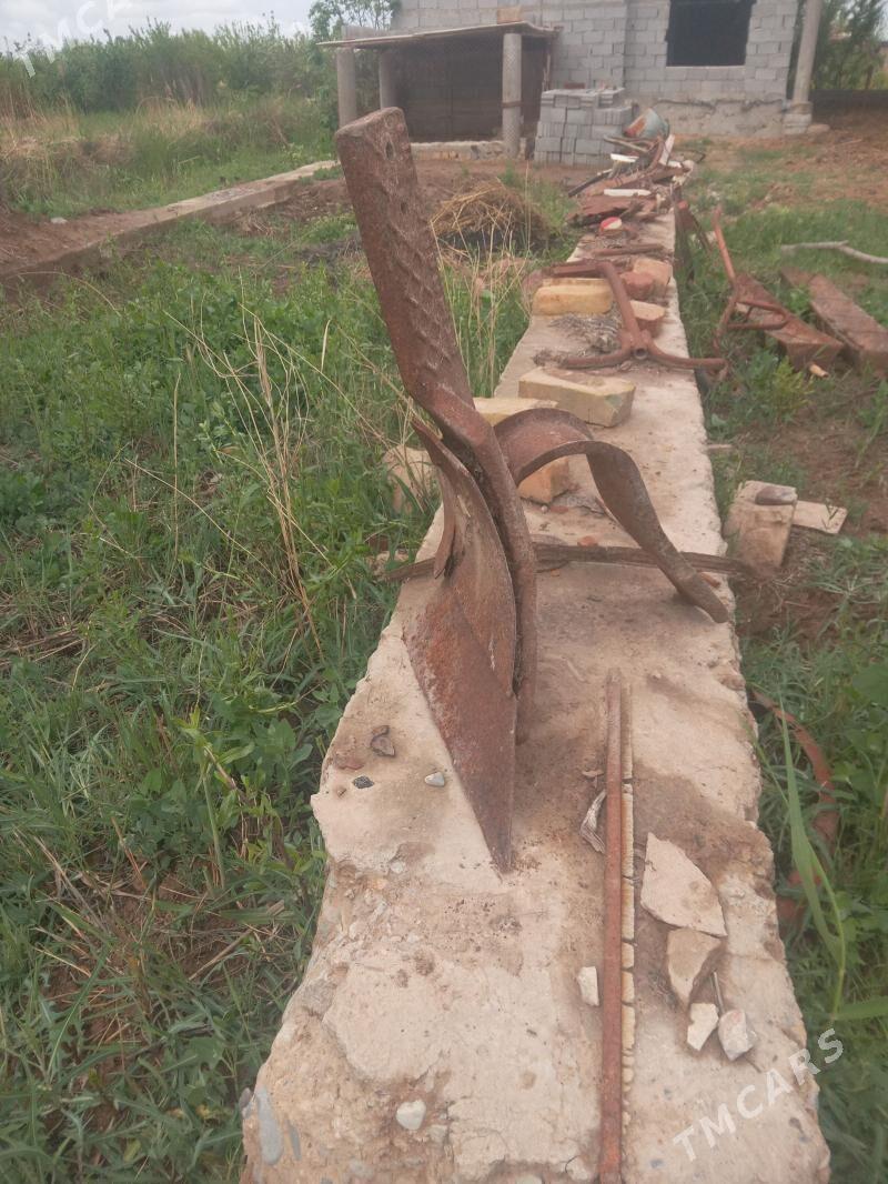 Owa hojalyk enjamlar - Теджен - img 1