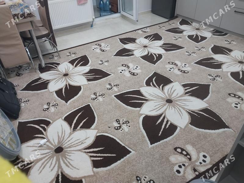 haly - Ашхабад - img 1