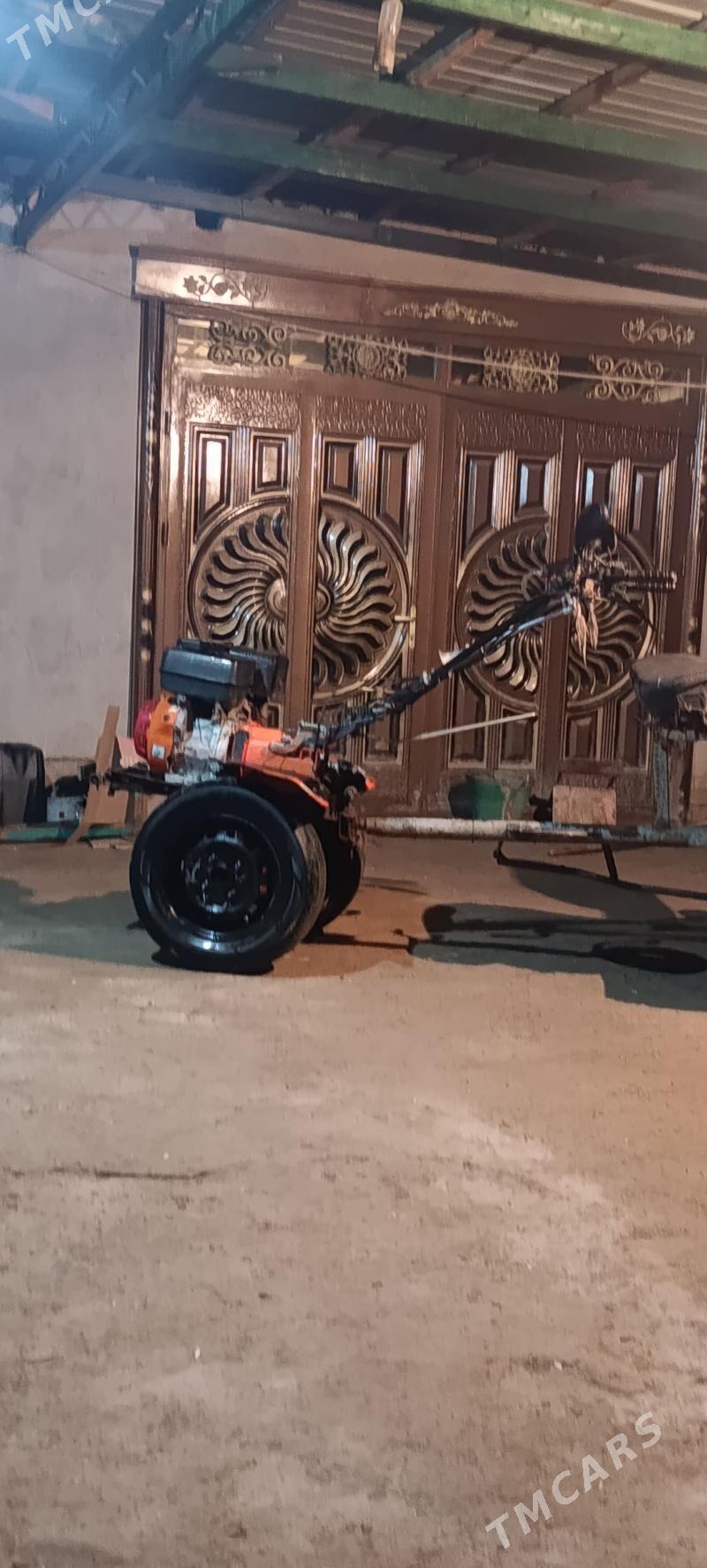 MTZ T-28 2025 - 11 000 TMT - Gurbansoltan Eje - img 1