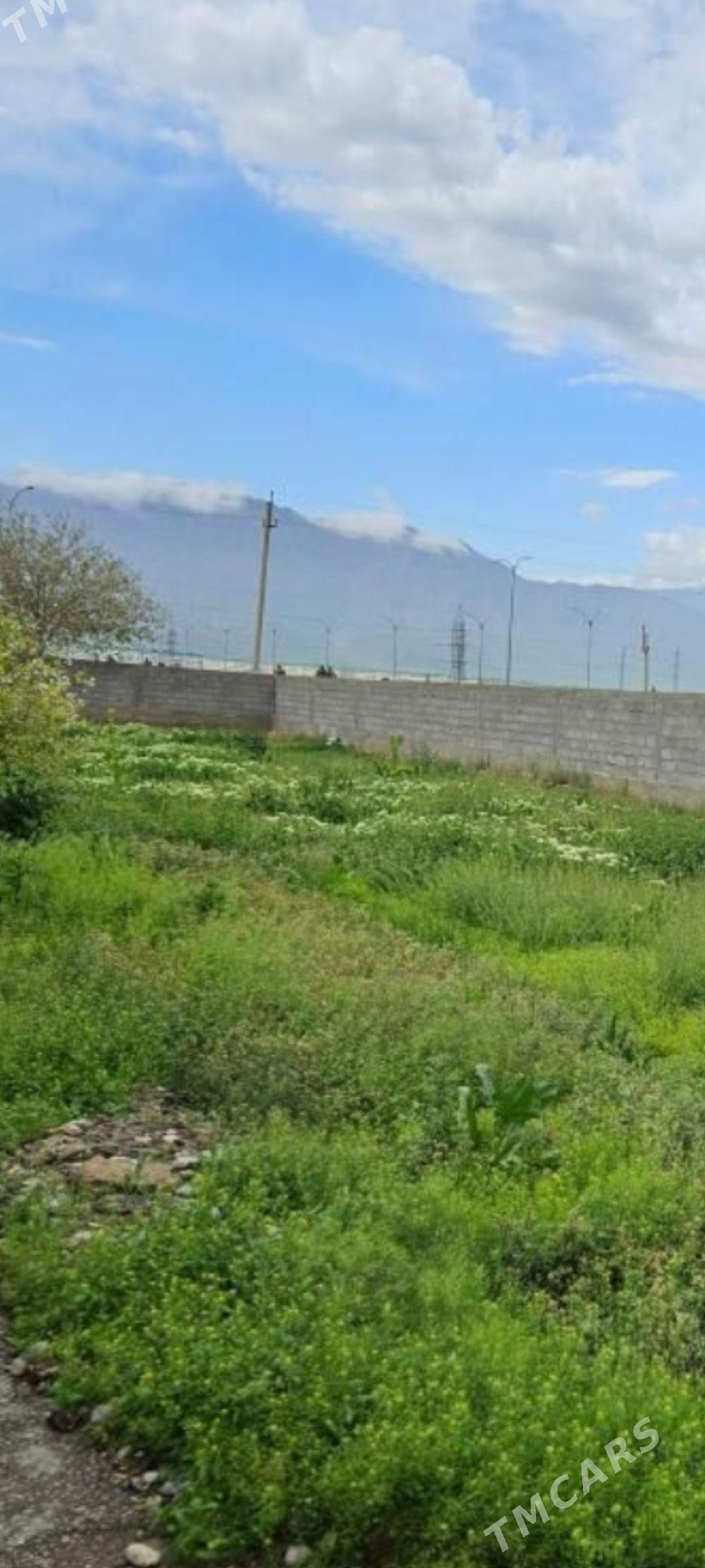 mellek ýer - Bagyr - img 1