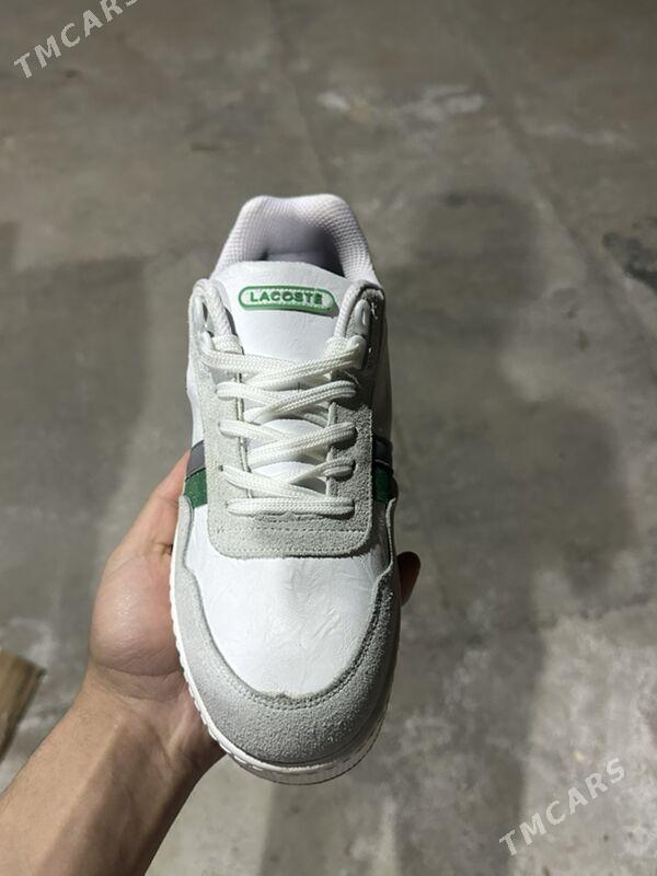 Lacoste krasofka - Aşgabat - img 1