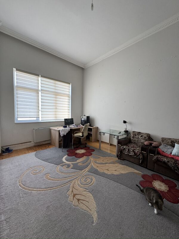 Элитка Московская Нефть-Газ - Ашхабад - img 1