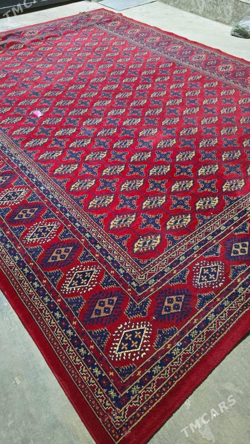 Haly doroska turk - Херрикгала - img 1