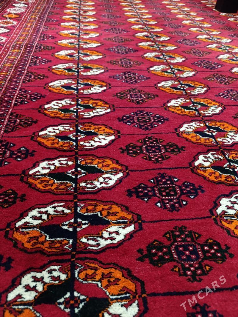 el haly - Досааф - img 1