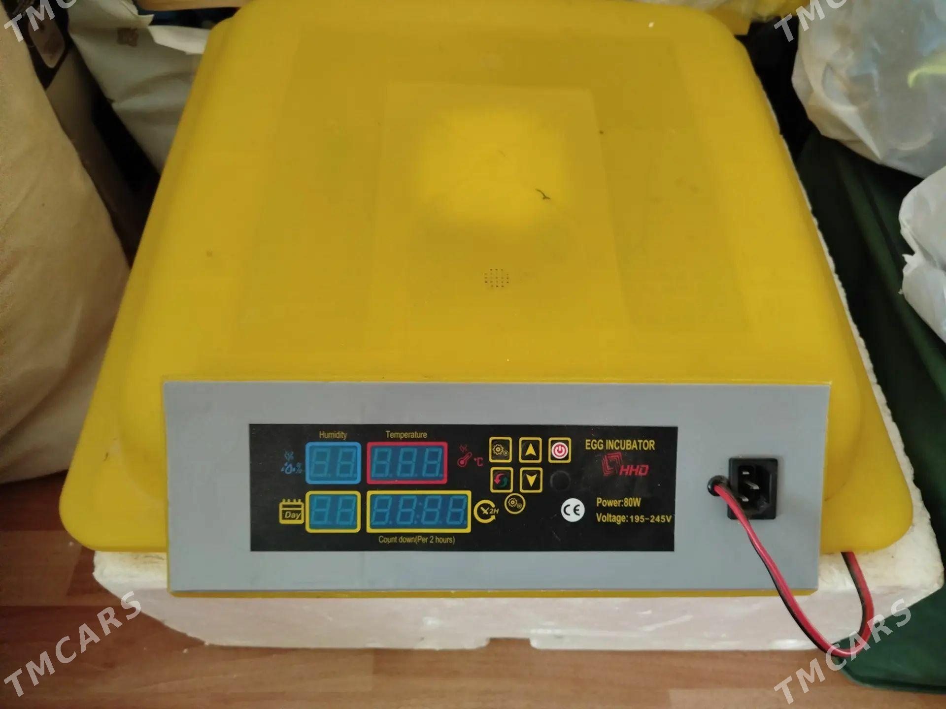 Inkubator - Änew - img 1