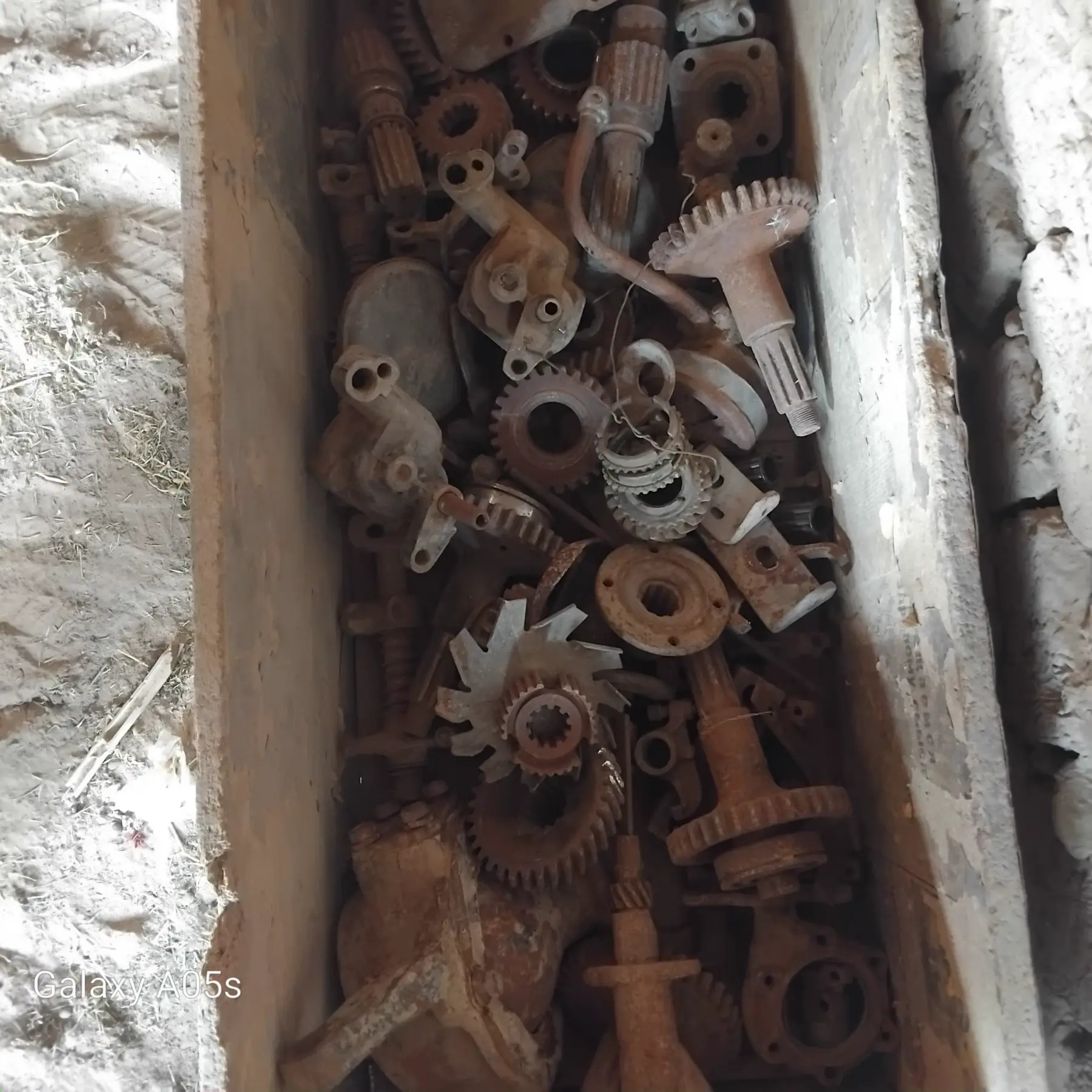 uaz 3 000 TMT - Ak bugdaý etraby - img 1