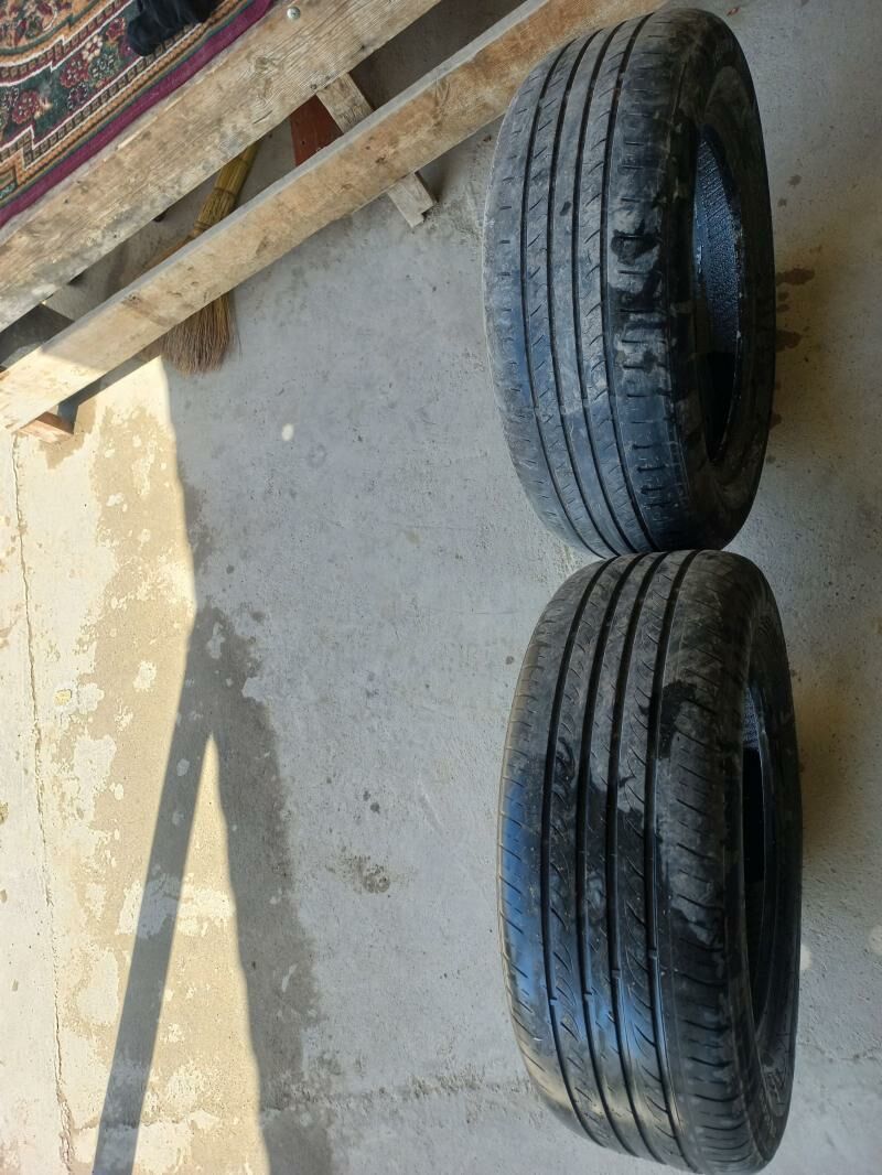 teker 150 TMT - Бахарден - img 1