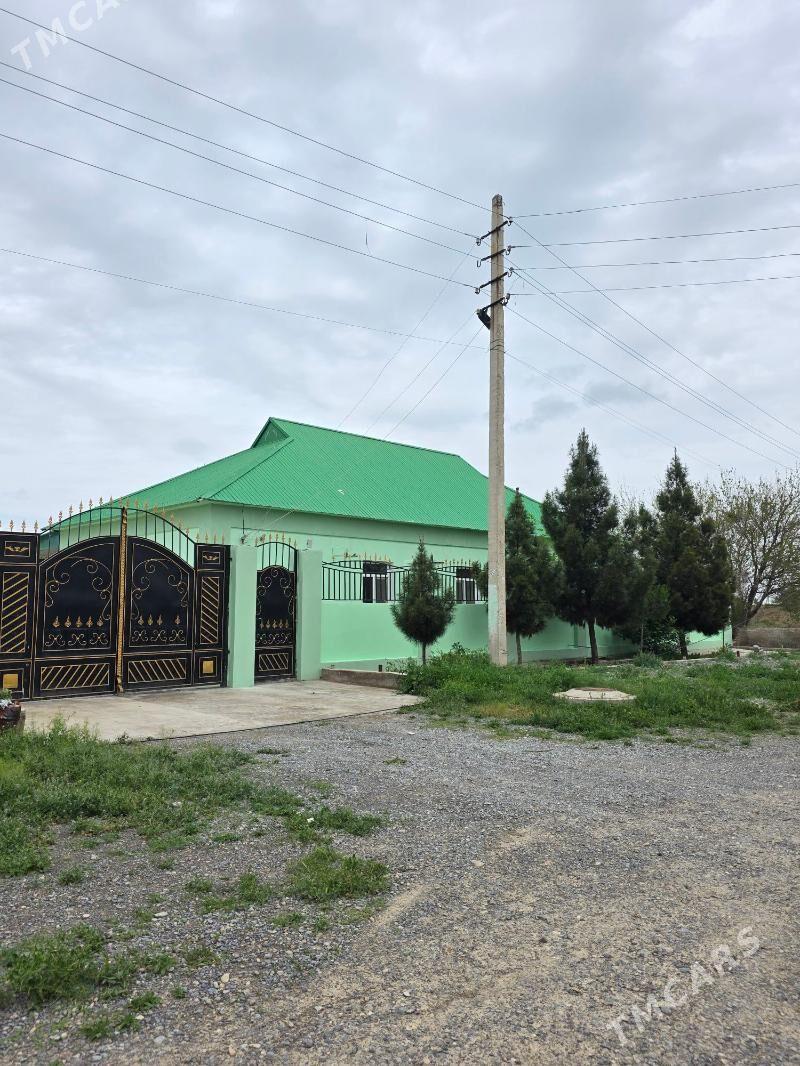 satlyk plan - Kaka - img 1