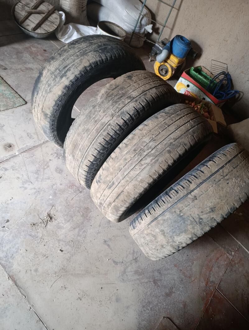 teker 16lyk 1 200 TMT - Görogly (Tagta) - img 1