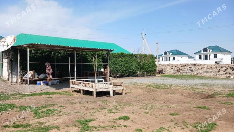 Änew magtymguly - Änew - img 1