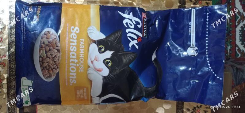 Кошачий корм - Дашогуз - img 1