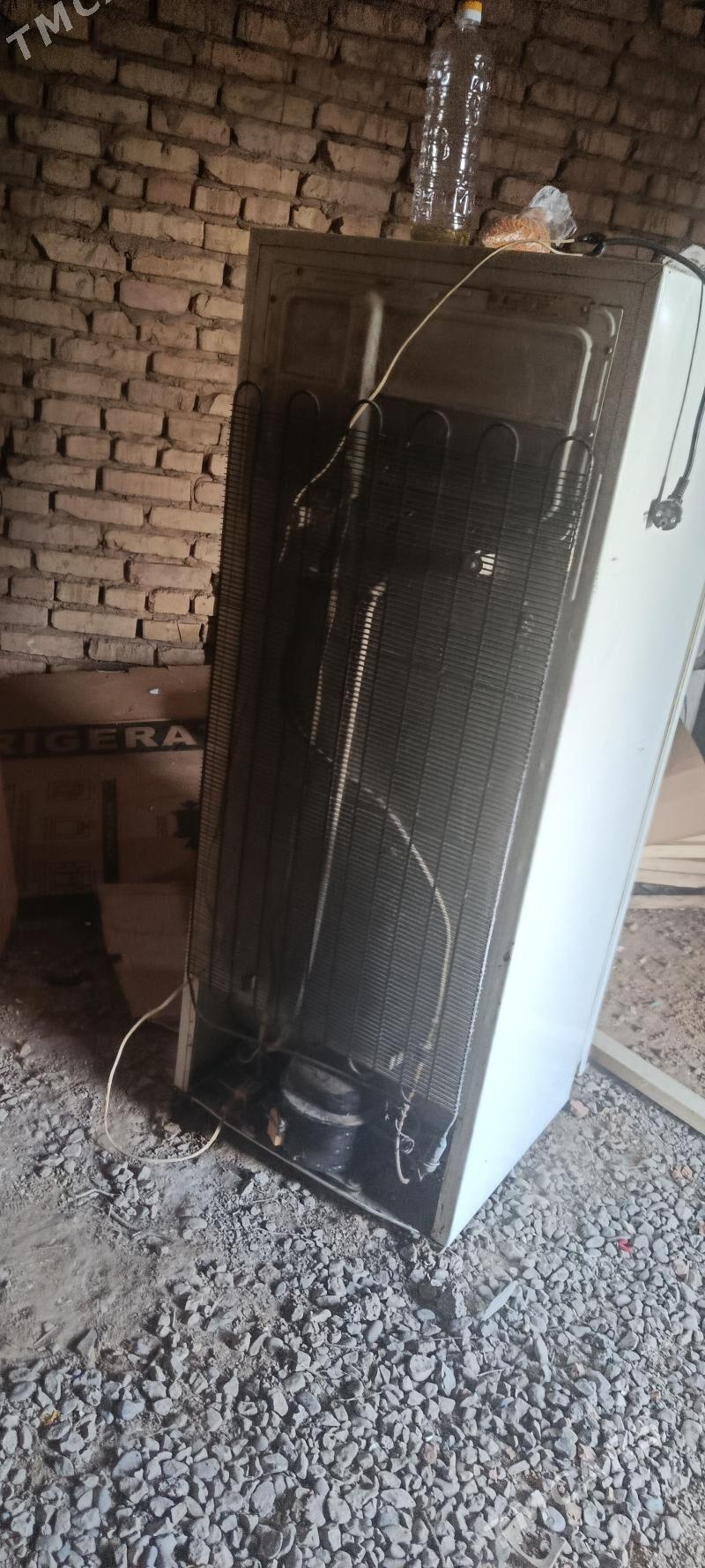 Holodink - Kaka - img 1