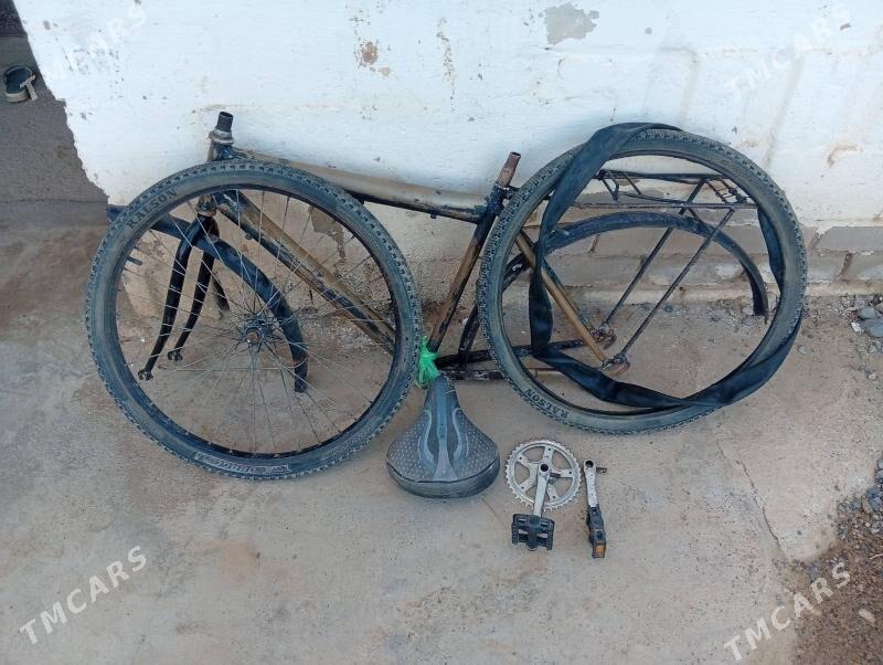 Tigir welsepit - Tejen - img 1