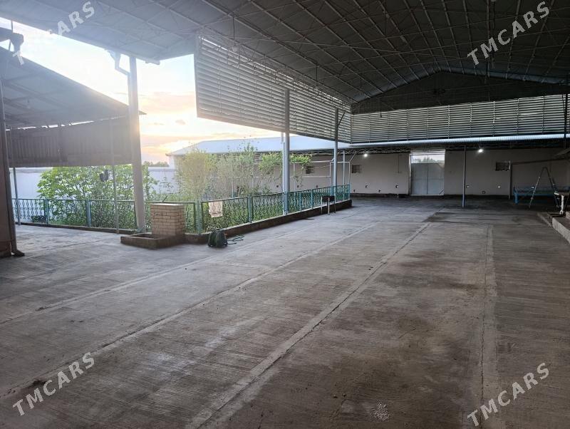 tayyar howly - Мары - img 1