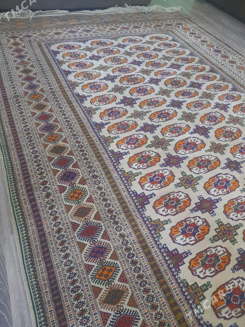 el hali - Тязе заман - img 1