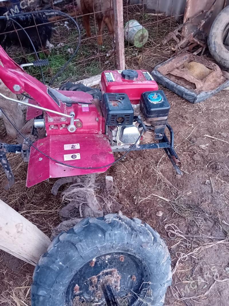 MTZ 80 2023 - 6 000 TMT - Саят - img 1