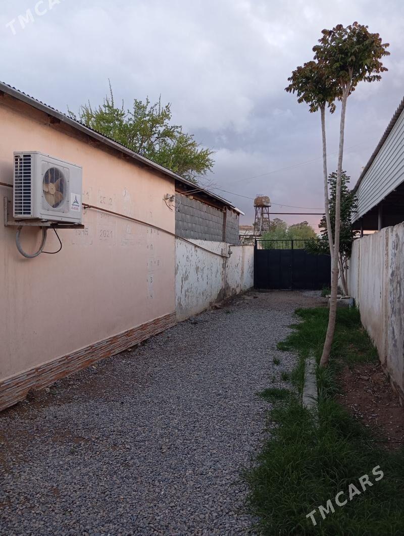 Arenda jay - Mary - img 1