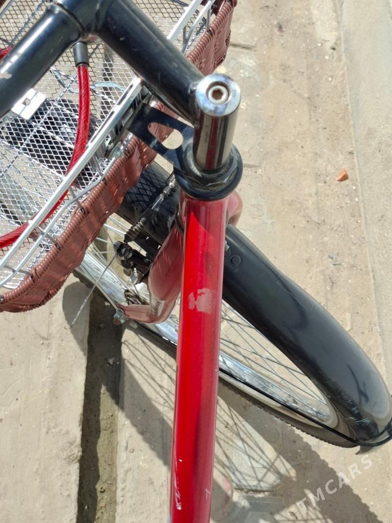 26lyktigir - Mary - img 1