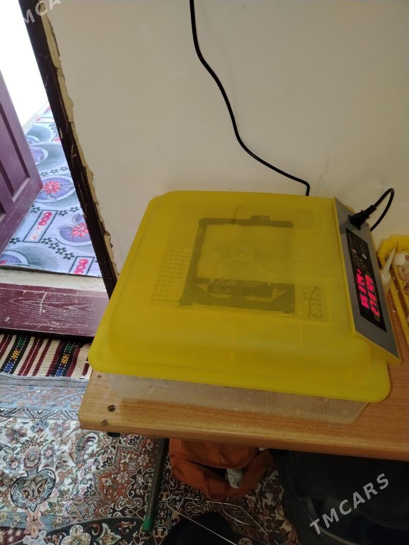 inkwator - Гумдаг - img 1