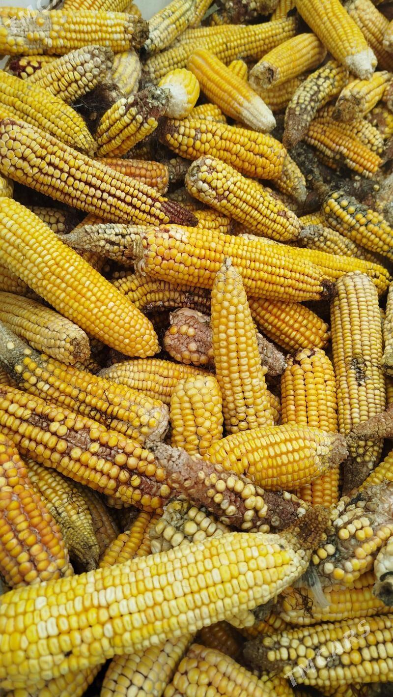 mekge 0.5 tenne - Анев - img 1