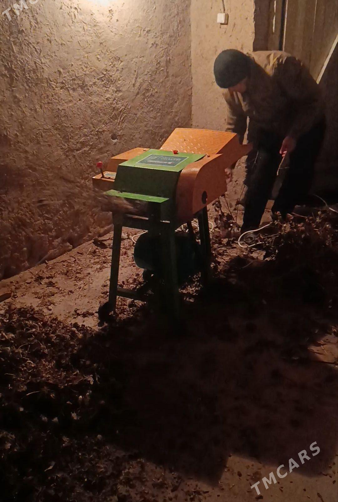 ot üweýän - Губадаг - img 1