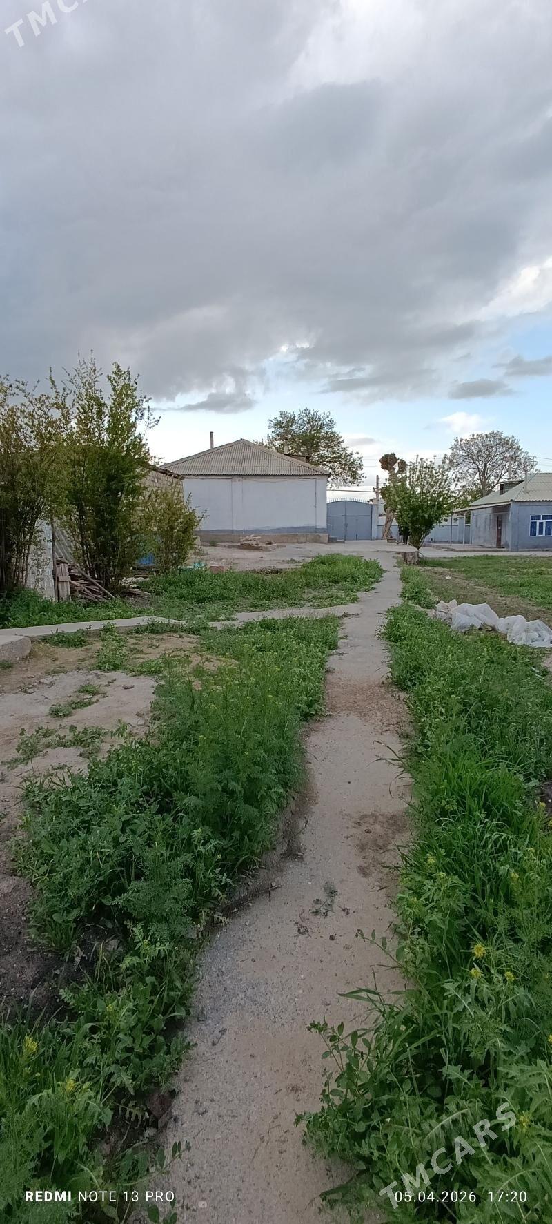 Багыр - Bagyr - img 1