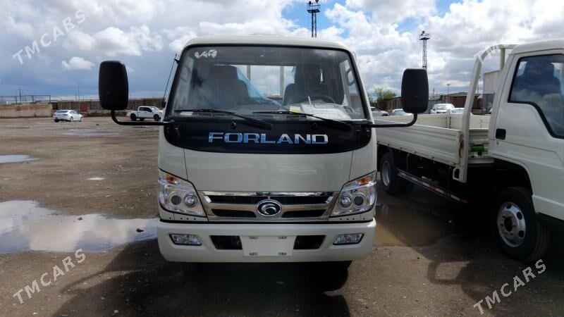 Forland H3 2025 - 222 000 TMT - Mary - img 1