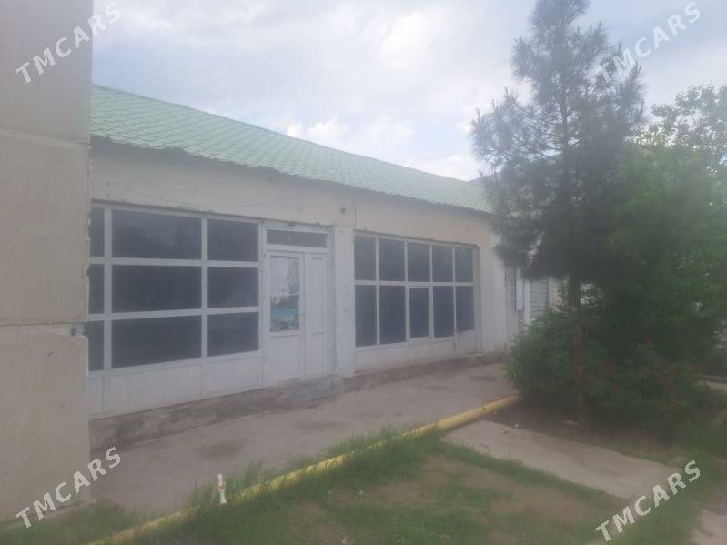 Arenda magazin - Änew - img 1