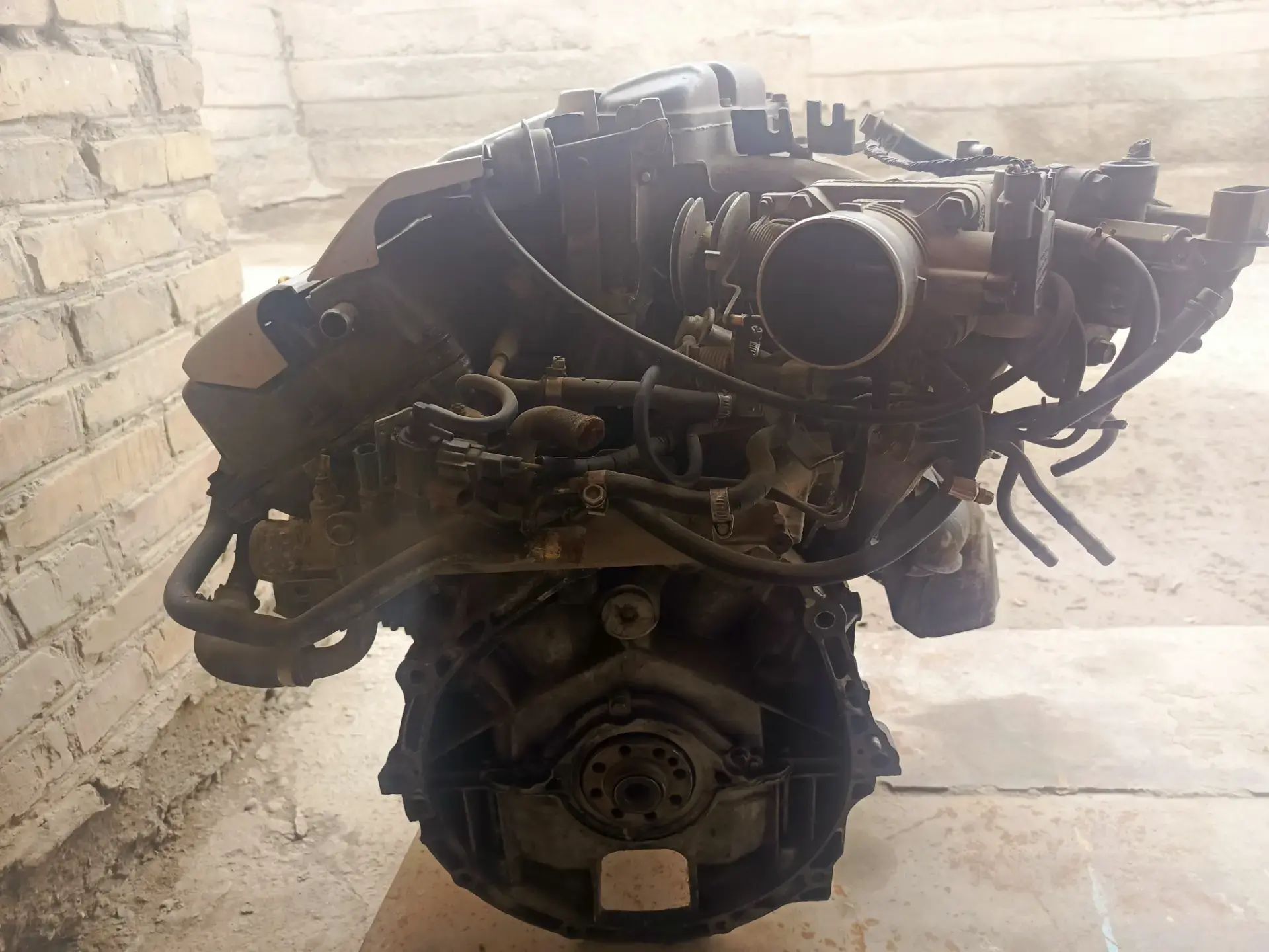 Maksima 5 000 TMT - Çärjew - img 1