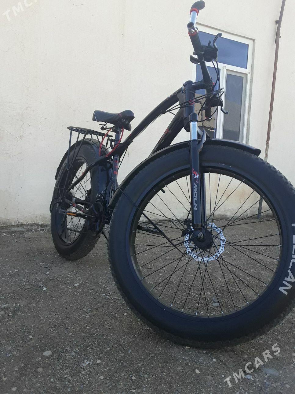 welik - Гумдаг - img 1