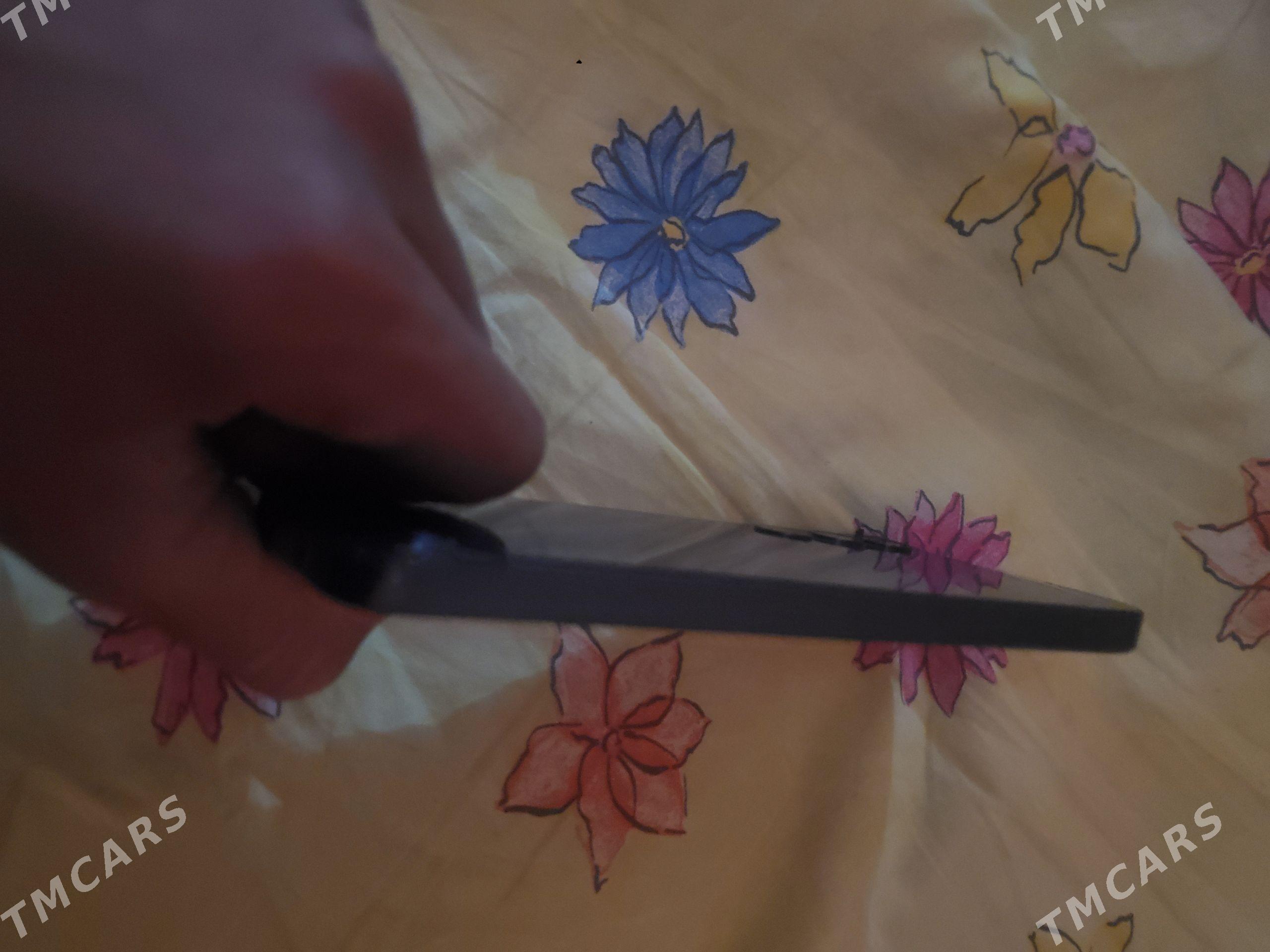 a25 - Багир - img 1