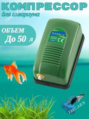 Компрессор для аквариума - Türkmenabat - img 1