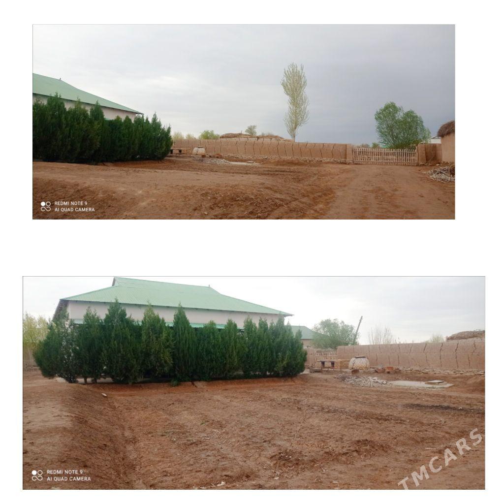 Ak-altyn obasy - етр. Туркменбаши - img 1