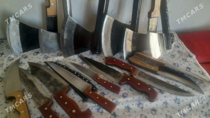 palta - Bäherden - img 1