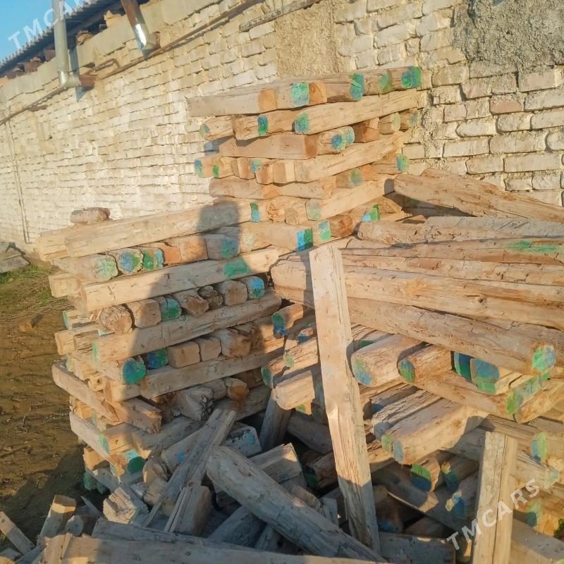 agac.10.10. - Aşgabat - img 1