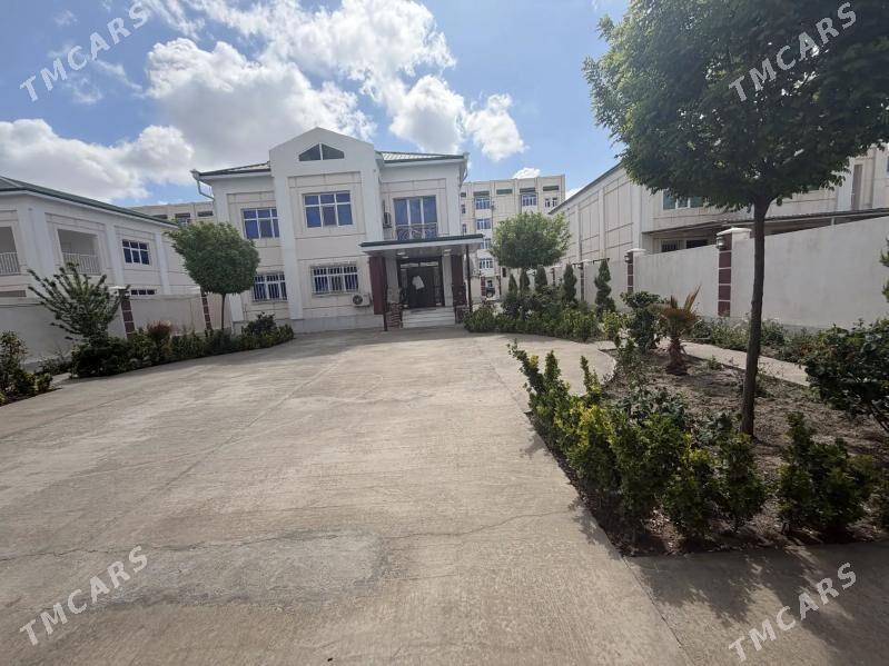 koteź - Türkmenabat - img 1