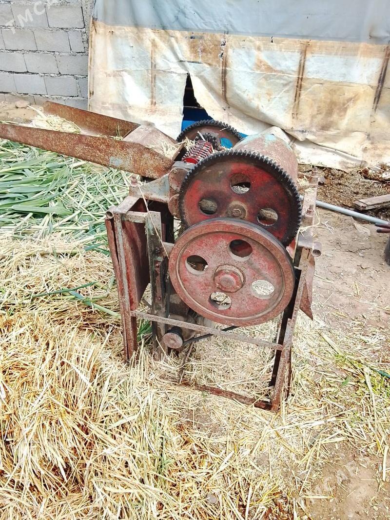 ot üweýen - Bäherden - img 1