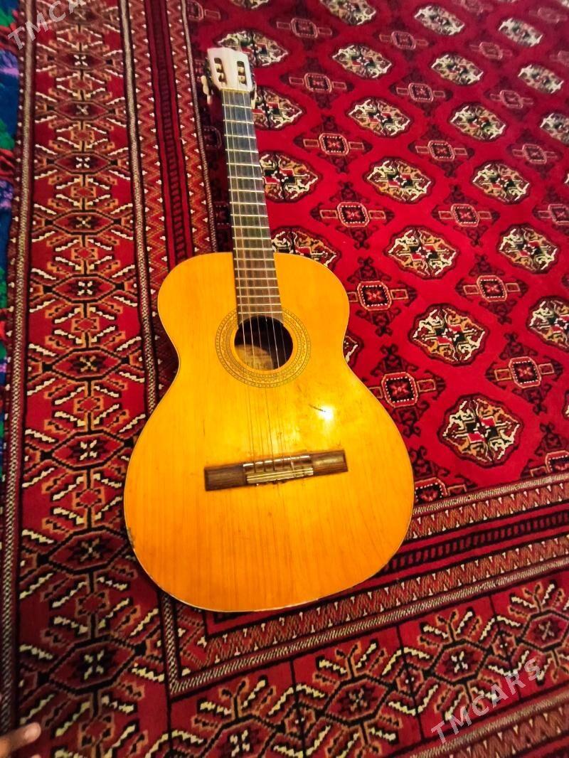 gitara - Dänew - img 1