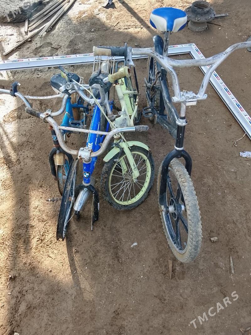 Welsopet - Änew - img 1