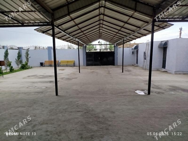 zaton daca - Çärjew - img 1