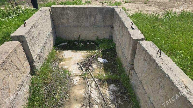 Biton plita tayyn - Änew - img 1