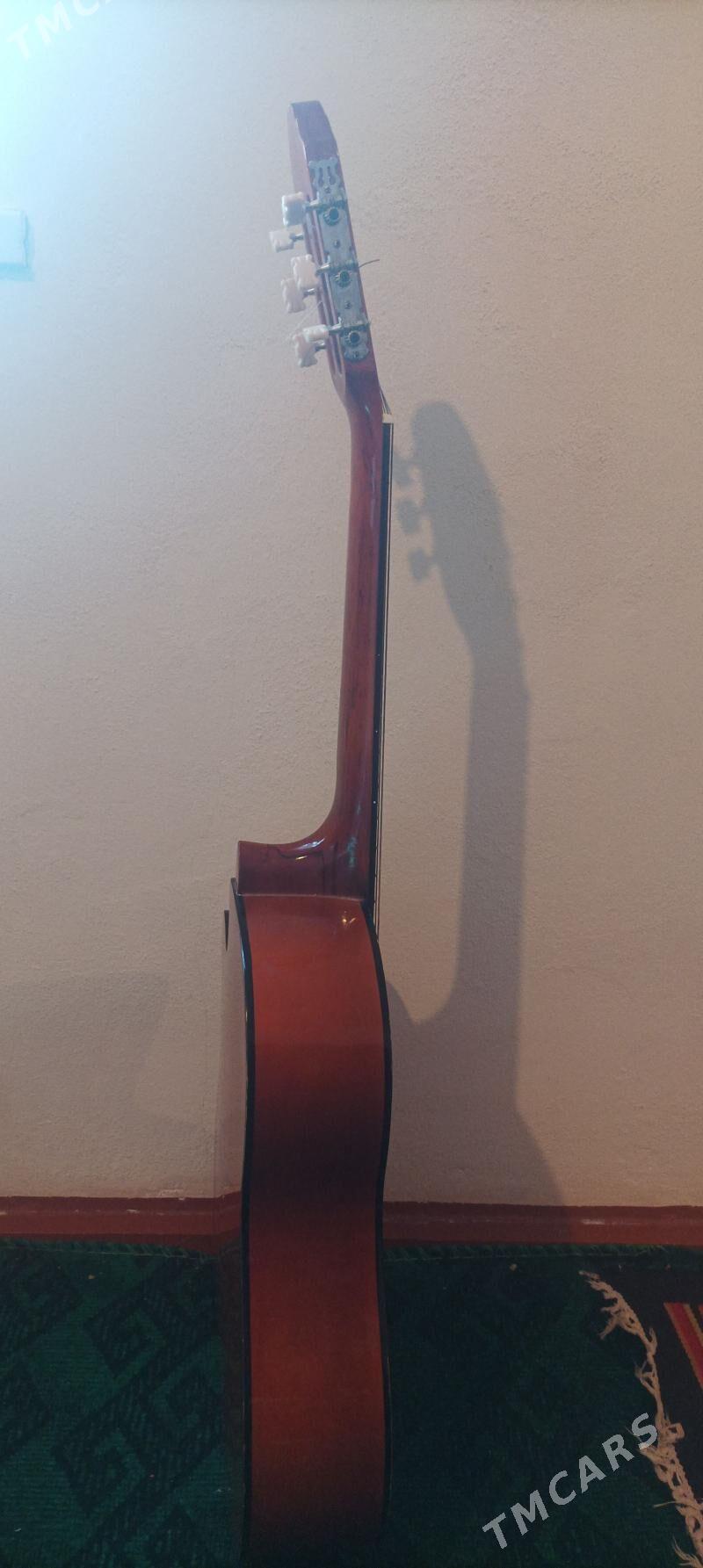 gitara - Койтендаг - img 1