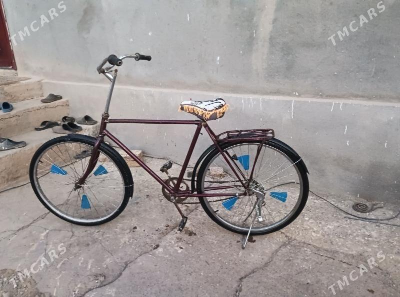 tigir 28 - Tejen - img 1