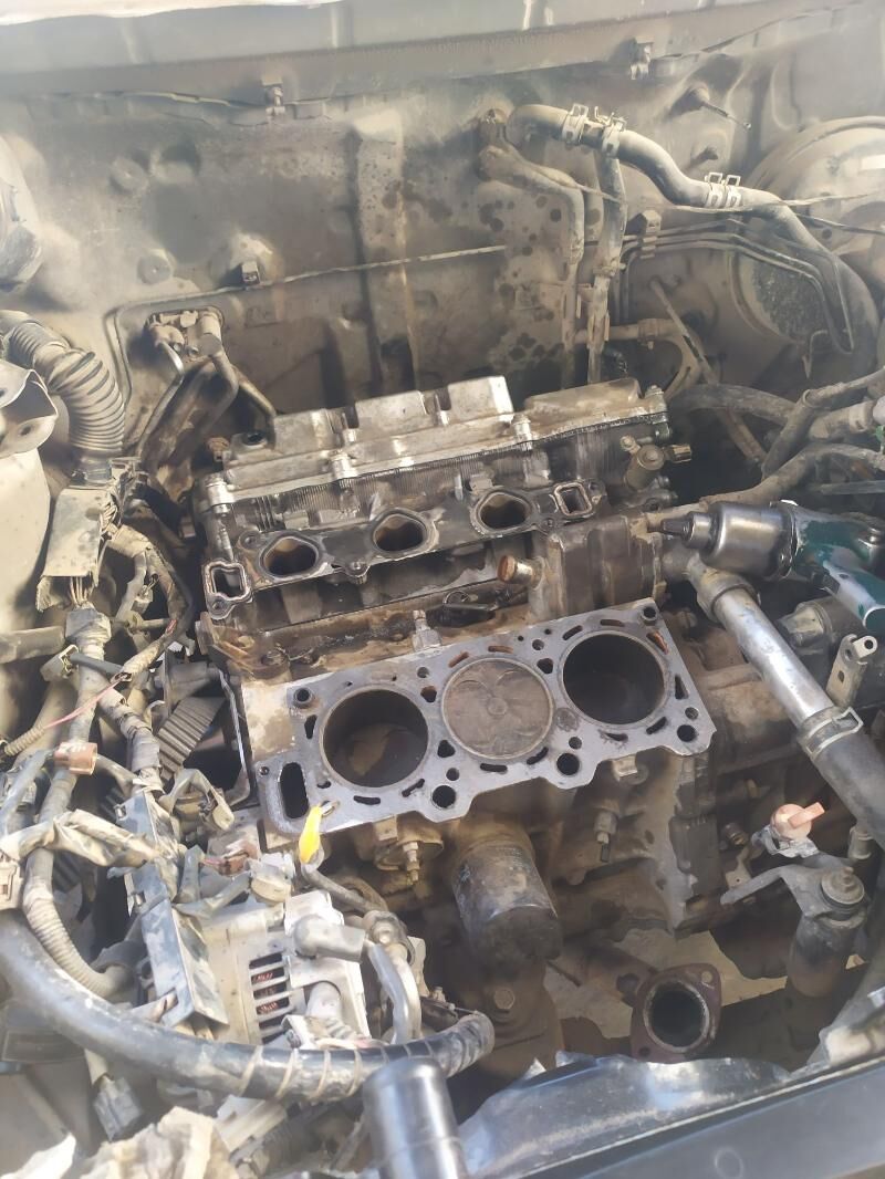 Galowfka Sienna 1 650 TMT - Mary - img 1