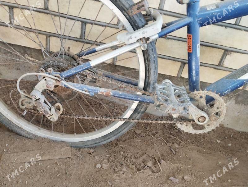 Wepasiped - Wekilbazar - img 1