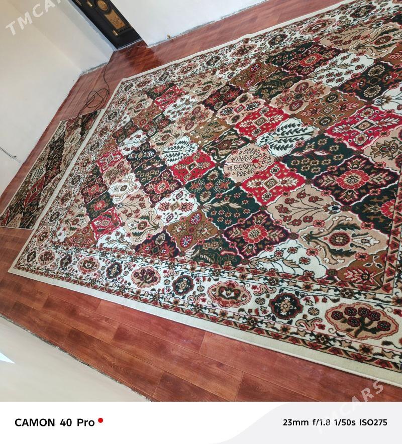 Haly - Ýaşlyk - img 1